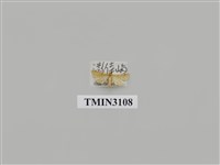 藏品(螟蛾192)的圖片